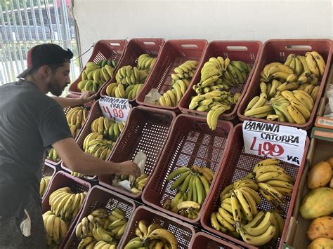 Entenda O Que Est Por Tr S Da Alta No Pre O Da Banana Regi O Jornal Vs