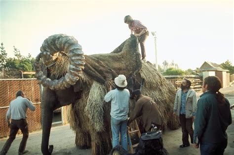 Elephant Being Dressed As A Bantha In Star Wars A New Hope 1976 R