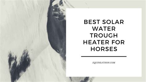 The Best Solar Water Trough Heater for Horses: Harnessing the Power of ...