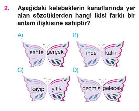 S N F T Rk E S Zc Kte Anlam Z T Anlam E Anlam Testi Z