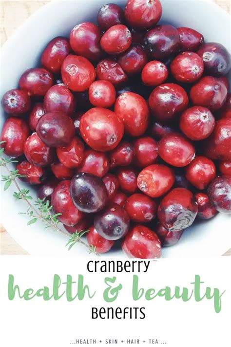 Cranberry Health Benefits Uses Skin Hair Kitchen Wild For Nature