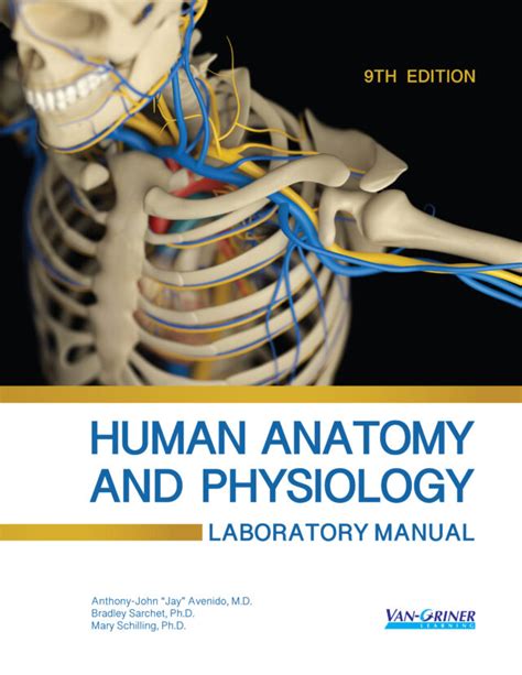 Anatomy And Physiology Bio Laboratory Manual Van Griner Learning