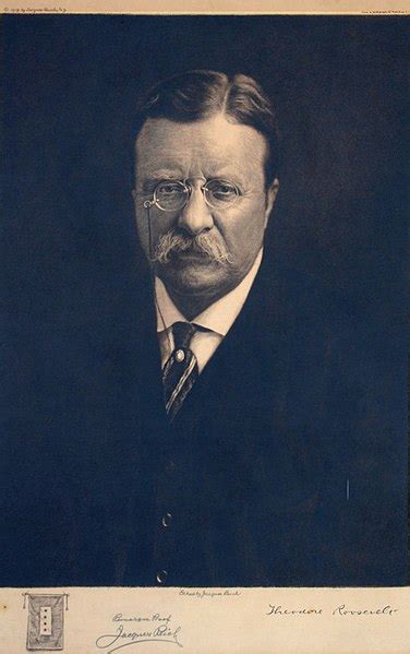 The Assassination Attempt on President Theodore Roosevelt | Study.com