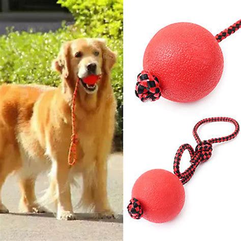 1pc Indestructible Dog Ball on a Rope for Pet Puppy Toys Tug Balls Pet ...