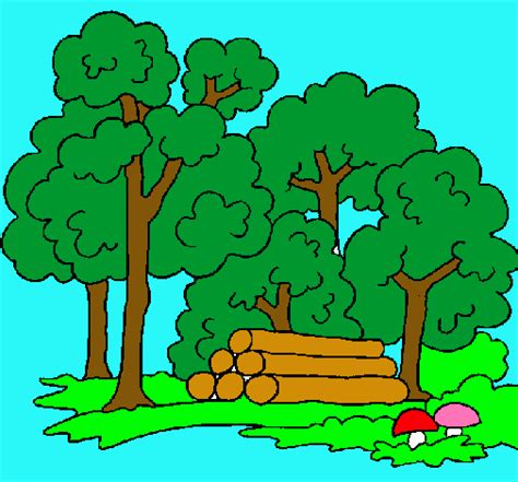 Dibujos De Bosques De Pinos Imagui