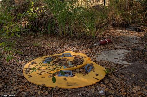 El Parque De Disney Abandonado Desde Hace 15 Años