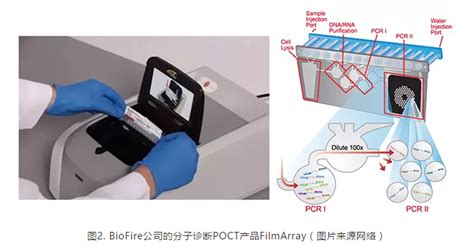 分子诊断poct类产品分析