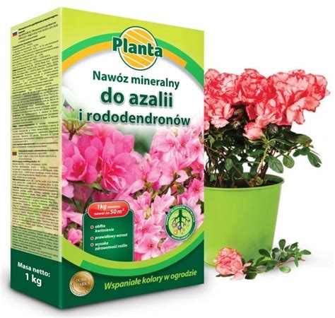 Nawóz do azalii i rododendronów 1 kg PLANTA OGR244 Cena Opinie