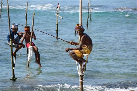 Pescadores Em Pernas De Pau Na Costa De Sri Lanka Imagem De Stock