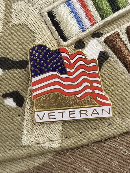 Veteran Flag Lapel Pin National Desert Storm Memorial Association