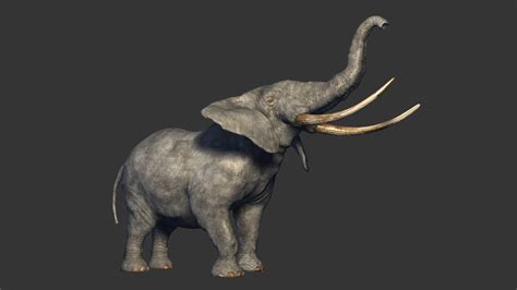 Animated Elephant 3d Model By Cg Shop Boy