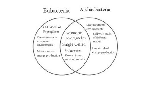 Diagrama De Venn Para Dominios De Bacteria Archaea Y Eukarya