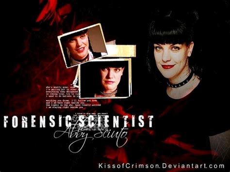 Abby Sciuto Ncis Wallpaper 14919473 Fanpop