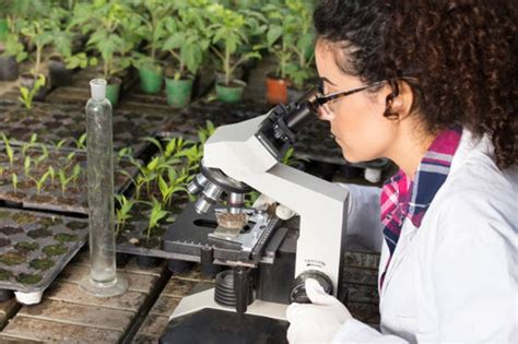 Por qué estudiar la carrera de biología ambiental