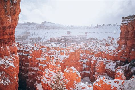 The Ultimate Bryce Canyon Winter Guide Visiting Bryce Canyon National