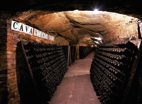 Montserrat And Codorníu Wine Cellars Tour From Barcelona