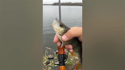 Дешевый телескопический спиннинг для мормышинга. Первая поимка. # ...