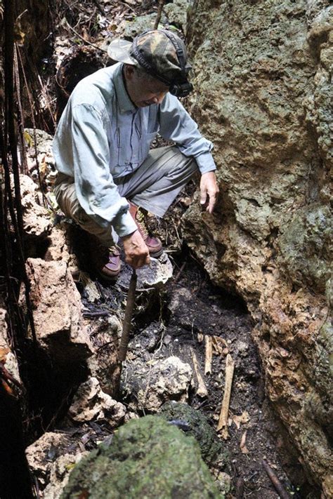 Topics：沖縄の戦没者遺骨と辺野古基地建設 「県南部の土砂使わないで」 遺族や市民団体、防衛省に申し入れ 毎日新聞