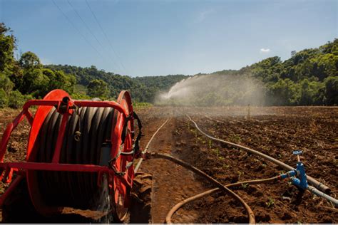 Tudo sobre irrigação por aspersão Blog Irrigat