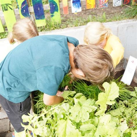 Aktionstage Eu Schulprogramm Landeszentrum F R Ern Hrung