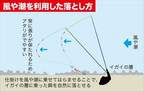 チヌ・落とし込み、盛夏攻略の鉄板スタイル【スライダー釣法ガイド】 関西のつりweb 釣りの総合情報メディアmeme