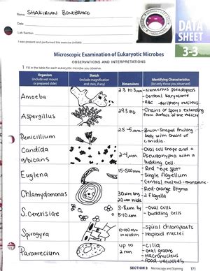 Ch6 Micro Notes Chapter 6 An Introduction Of The Viruses Viruses O