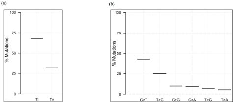 Summary Of Snp Types A Percentage Of Transition Ti And