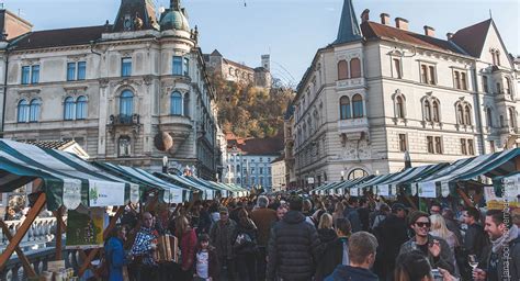 Slovenian wines and wine tours & Visit Ljubljana