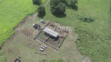 Fazenda Venda No Par Tom A Ha Agroportal