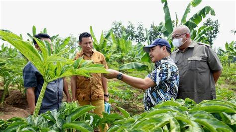 Lpdb Kumkm Tingkatkan Tata Kelola Keuangan Dengan Digitalisasi Bisnis