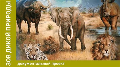 Зов дикой природы. Документальный Проект. Лучшие фильмы - YouTube