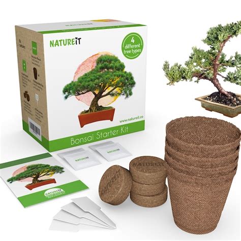 Bonsai Tree Seed Starter Kit Grow 4 Bonsai Trees From Seeds Etsy