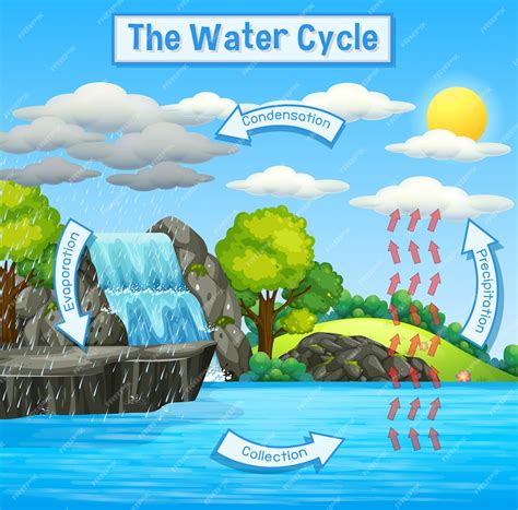 Premium Vector | Water Cycle of Earth