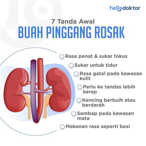 Makanan Baik Untuk Buah Pinggang Paling Mudah Ambil Air Kosong