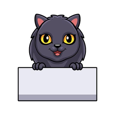 Premium Vector Cute Highland Fold Cat Cartoon Holding Blank Sign