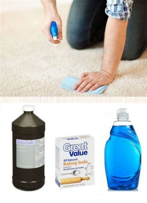 The Best Homemade Carpet Stain Remover At Joseph Lachance Blog