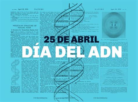 Se Cumplen A Os De La Publicaci N De La Estructura De Adn