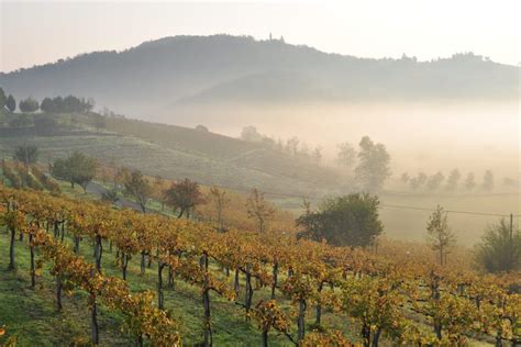 Alto Piemonte E Gran Monferrato Per Mesi La Pi Grande Citt Europea