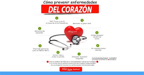 5 Hábitos Para Prevenir Enfermedades Cardiovasculares Hoysoy Net ️