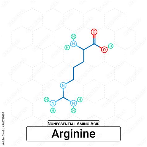 Arginine Chemical Structure Non Essential Amino Acid Organic Molecules