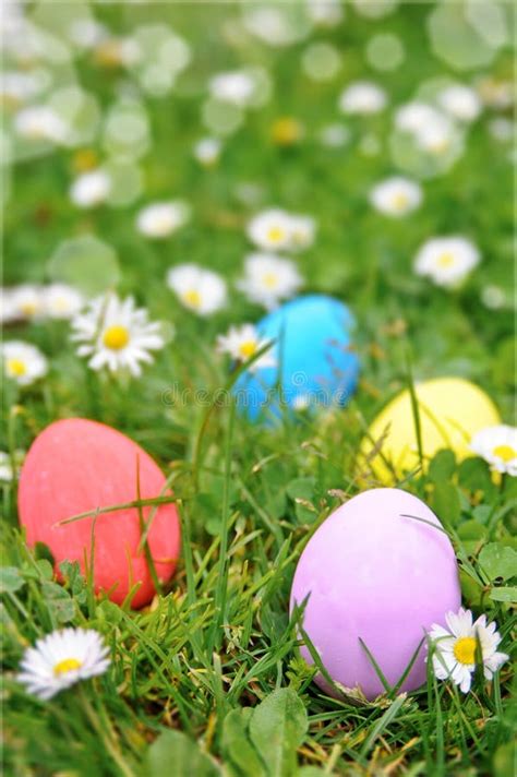 Ovos De Easter Na Flor Da Grama Imagem De Stock Imagem De Verde Roxo