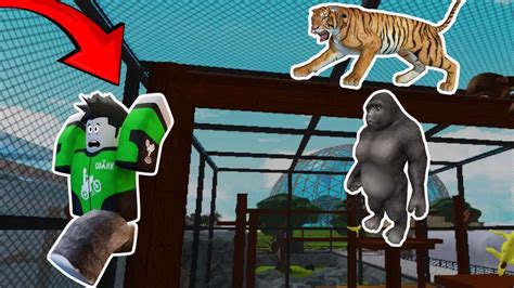 AKU KABUR DARI KEJARAN HARIMAU DAN GORILA DI KEBUN BINATANG ROBLOX