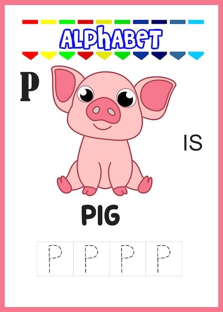 Premium Vector Alphabet Letter P Is For Pig Cute Pig