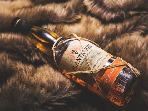 PLANTATION rum: sortiment, cena + levný prodej - Výživovo.cz