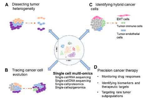 Figure From Application Of Single Cell Multi Omics In Dissecting