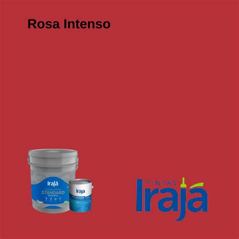 Irajá Acrílico Standard Rosa Intenso Loja de Tintas em Guarulhos