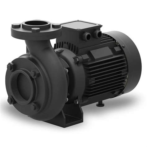 Lubi Centrifugal Monoblock Pump 3 HP Model Name Number Fg 26 At