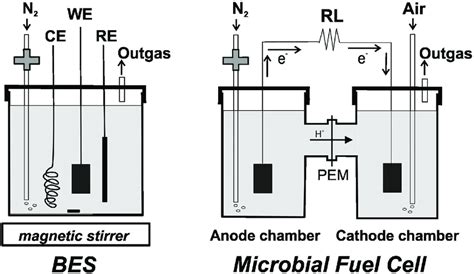 Schematic Diagram Of The Bioelectrochemical Set Up Used In This Work