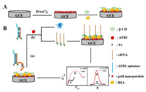 Sensors Free Full Text Recent Advances In The Aptamer Based