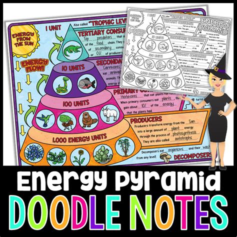 Blank Energy Pyramid Worksheet